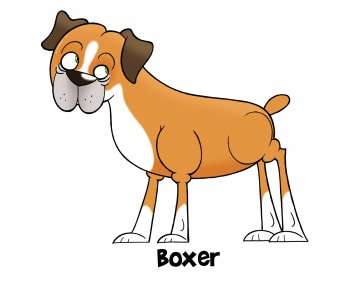 Boxer kutya