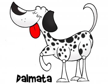 Dalmata kutya