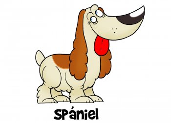 Spániel kutya