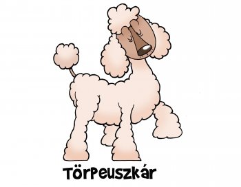 Törpe-uszkár kutya