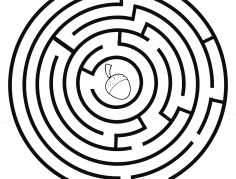 Mókus makkot keres - labirintus játék kifestőként