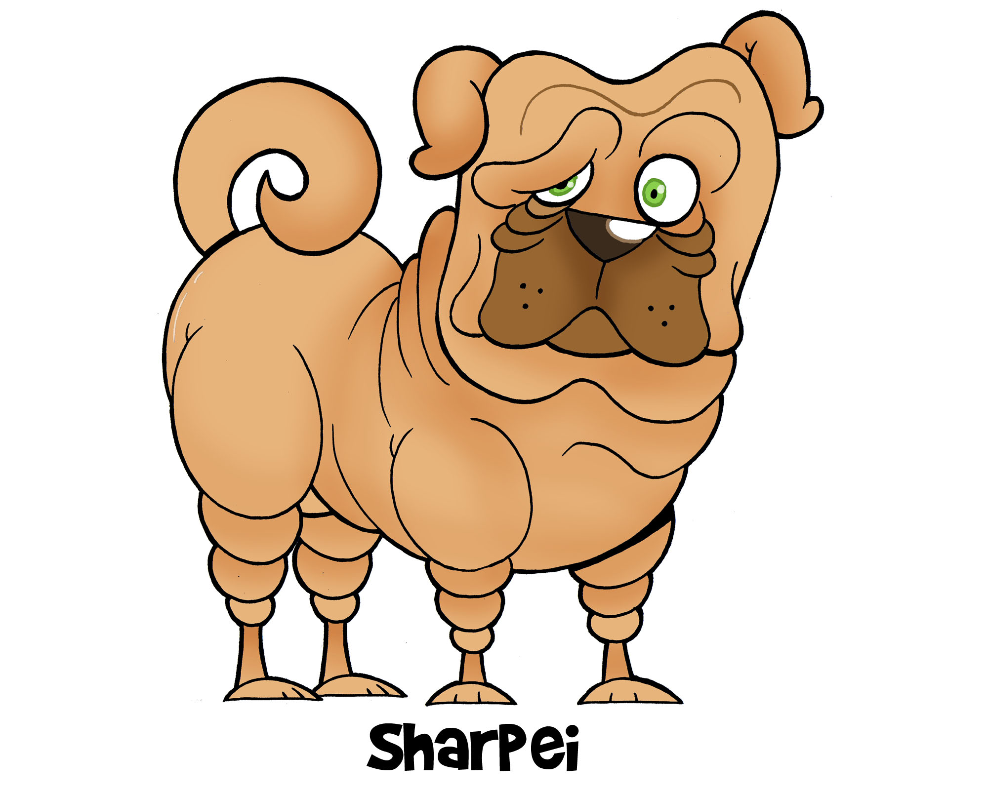 sharpei-kutya.jpg