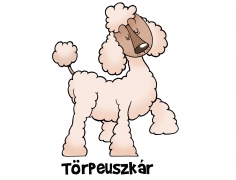 Törpe-uszkár kutya